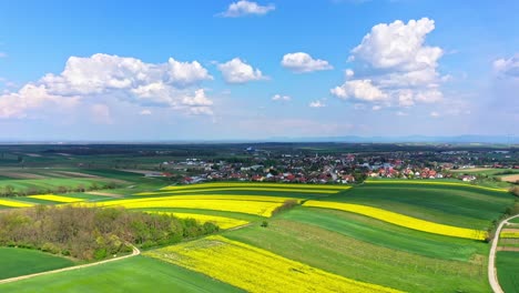 Aerial-View-Of-Canola-Fields-Near-The-Town-On-A-Sunny-Day