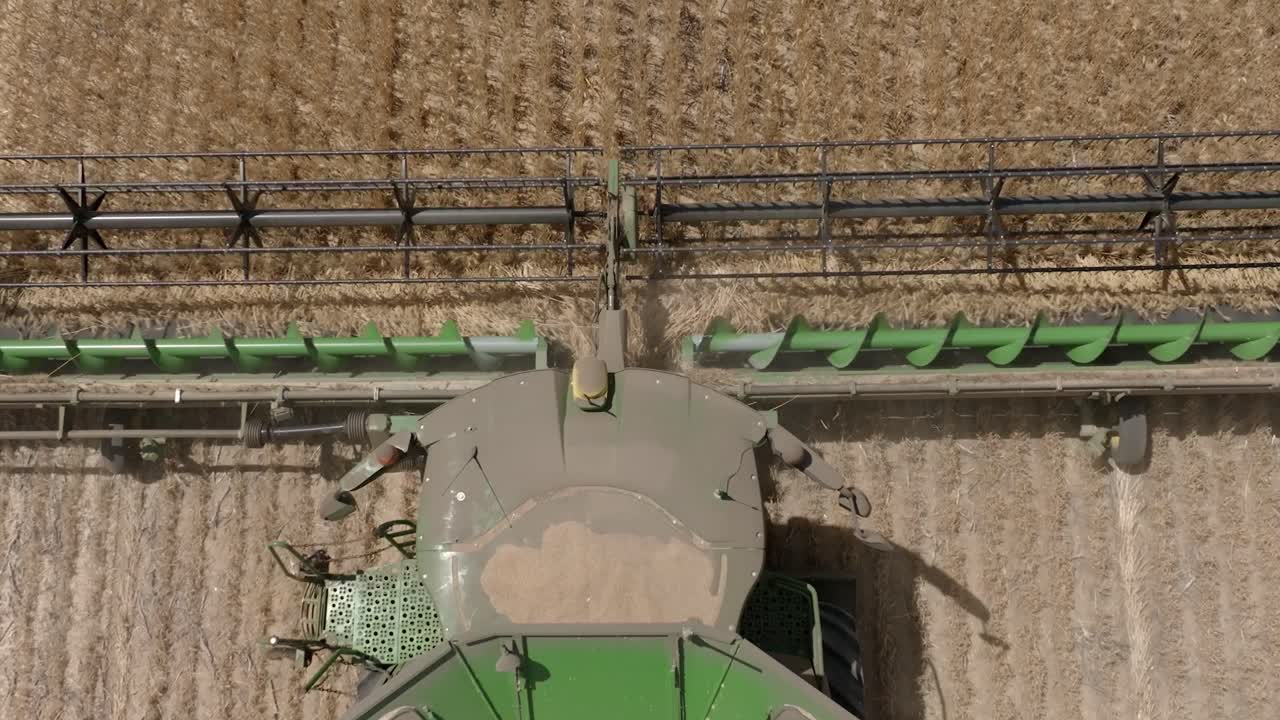 Broad Acre Grain Harvesting in Western Australia