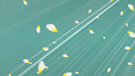 animation of white and yellow petals falling over stripes moving in seamless loop