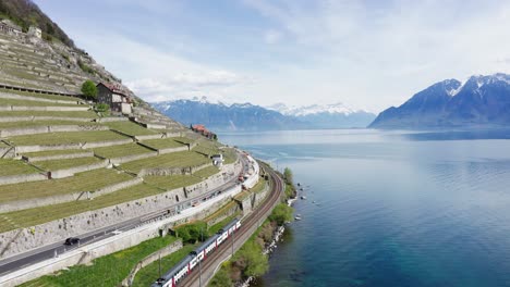 Drohnenaufnahmen-Überflug-Eines-Weinbergs-Mit-Einem-Zug,-Der-Am-Ufer-Eines-Sees-In-Der-Schweiz-Entlangfährt