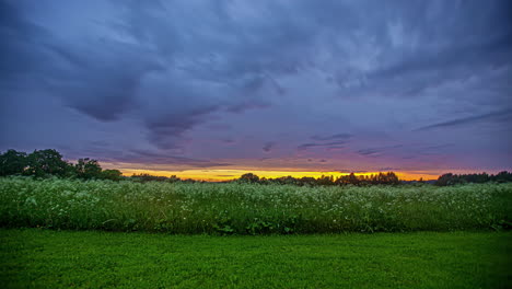 dramatic sunset sky over green spring field with wildflowers in bloom