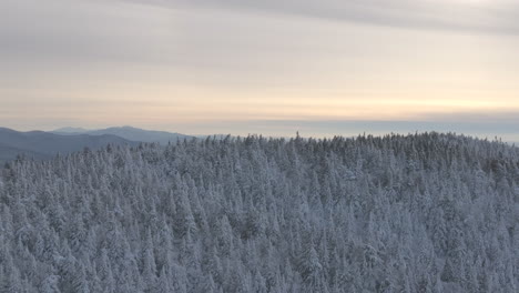 lush forest covered with snow reveals frozen river valleys during sunset