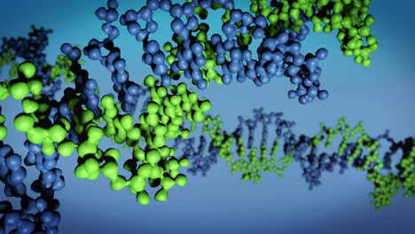 dna animation