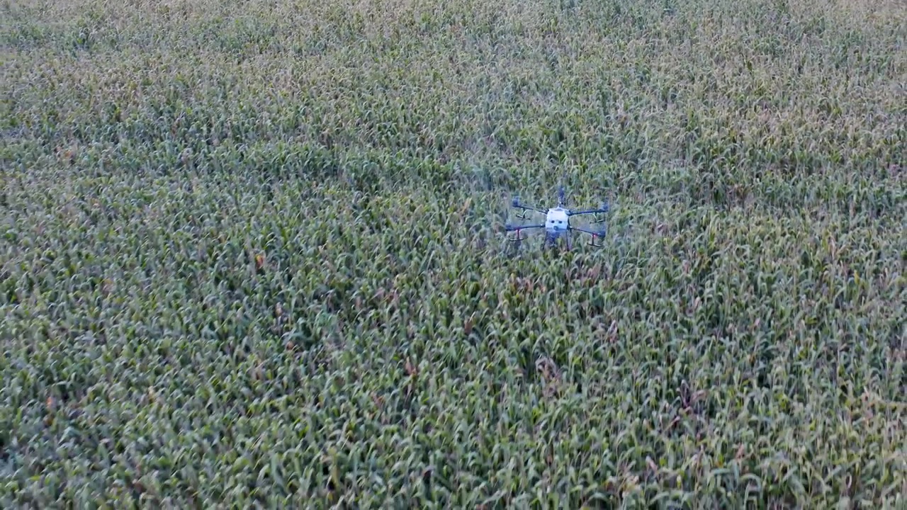 Drone Agricolo che Irrora Colture in un Campo Verde