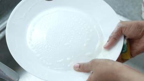 women hand cleaning a plate with a sponge