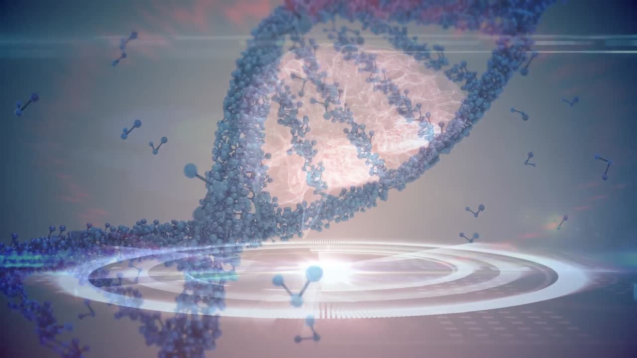 Animazione di cervello umano, filamento di DNA che gira e elaborazione dati