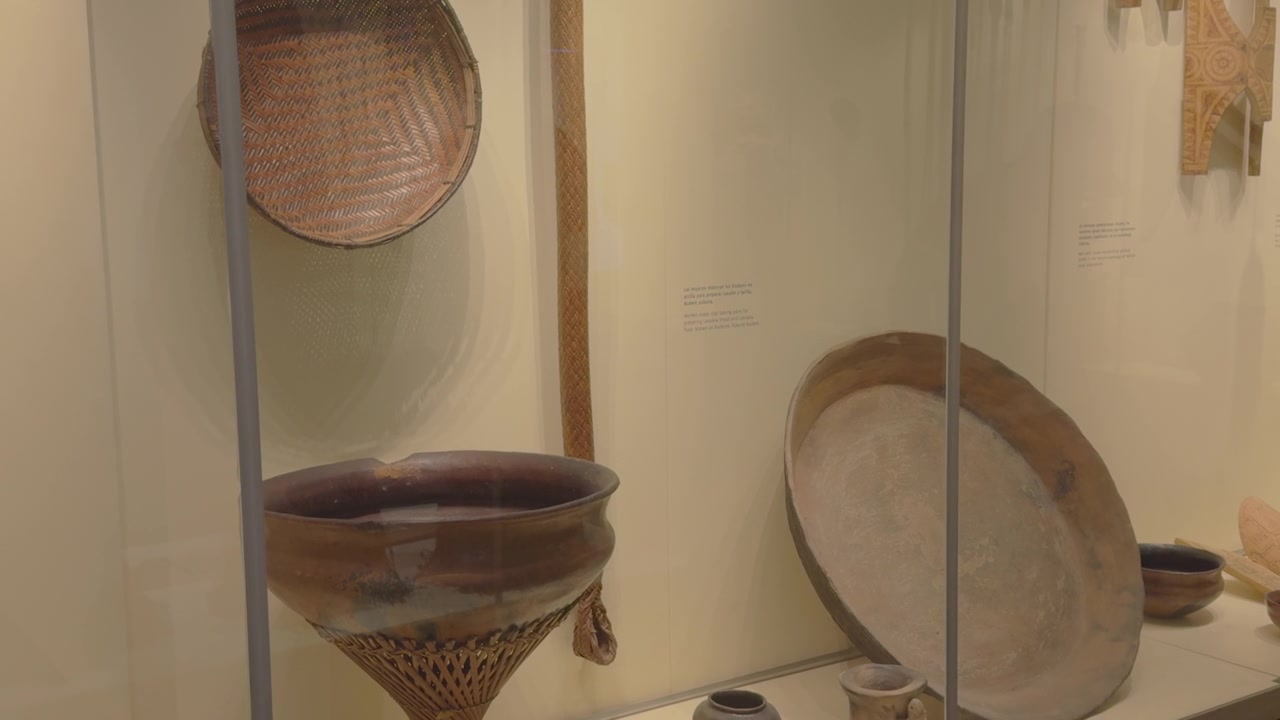 A collection of Amazonian artifacts including woven baskets, ceremonial tools, and pottery in a museum display. Suitable for cultural documentaries or educational content.