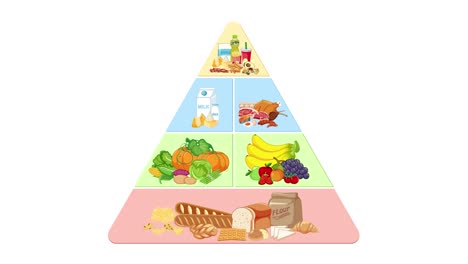 animated breakdown of healthy eating guidelines.