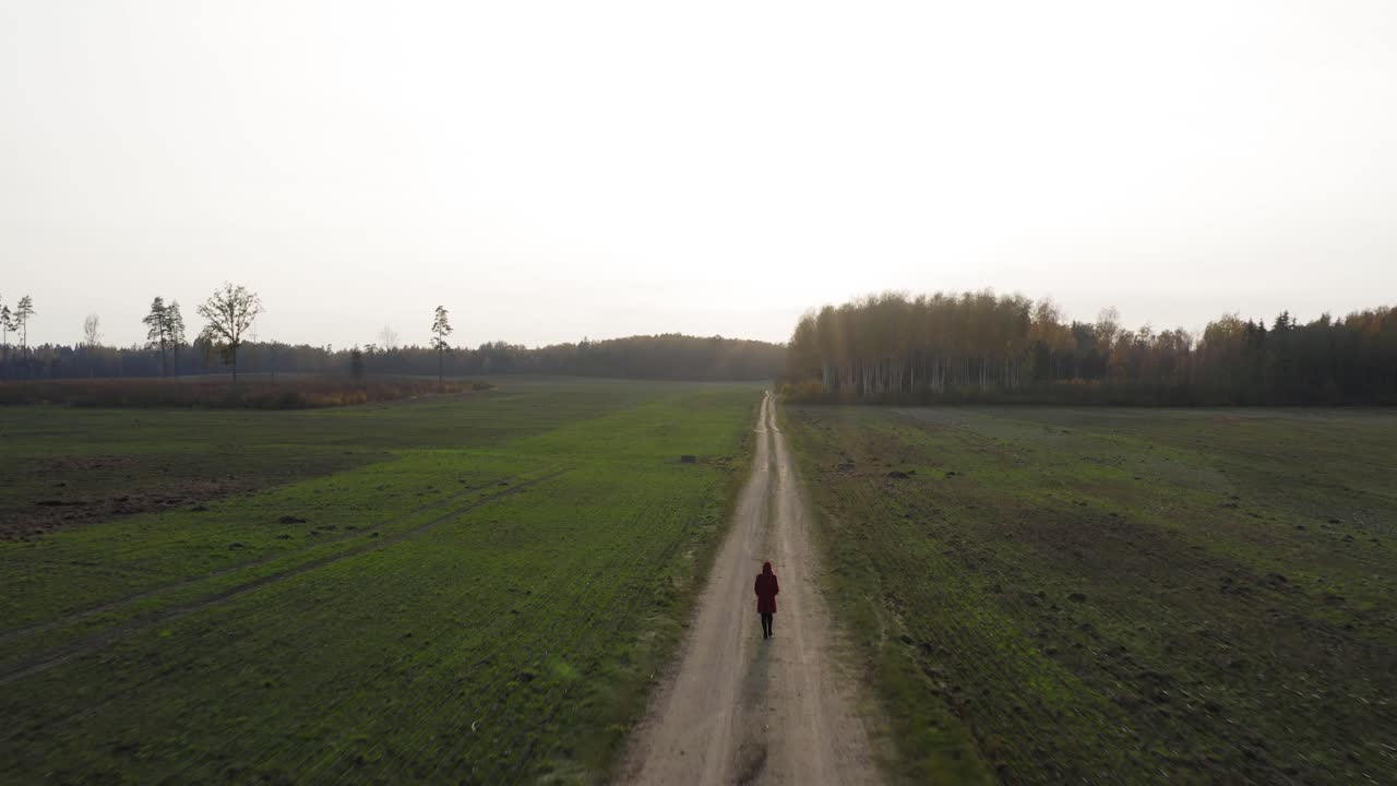 Aerial flying towards the bright sun while girl walking by green fields
