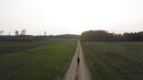 Aerial-flying-towards-the-bright-sun-while-girl-walking-by-green-fields