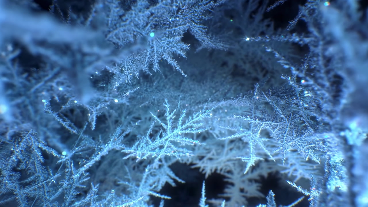 Frost Ice Crystals Macro Closeup Shimmering Delicate Hoarfrost Branches Form Luminous Blue Tunnel With Tiny