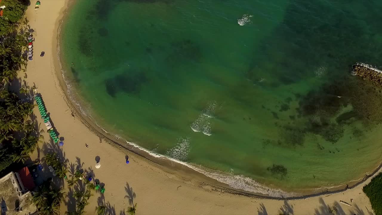 playa de miami con aguas claras y turquesas y bañistas de sol, paraguas vibrantes salpican las arenas, vista aérea, américa