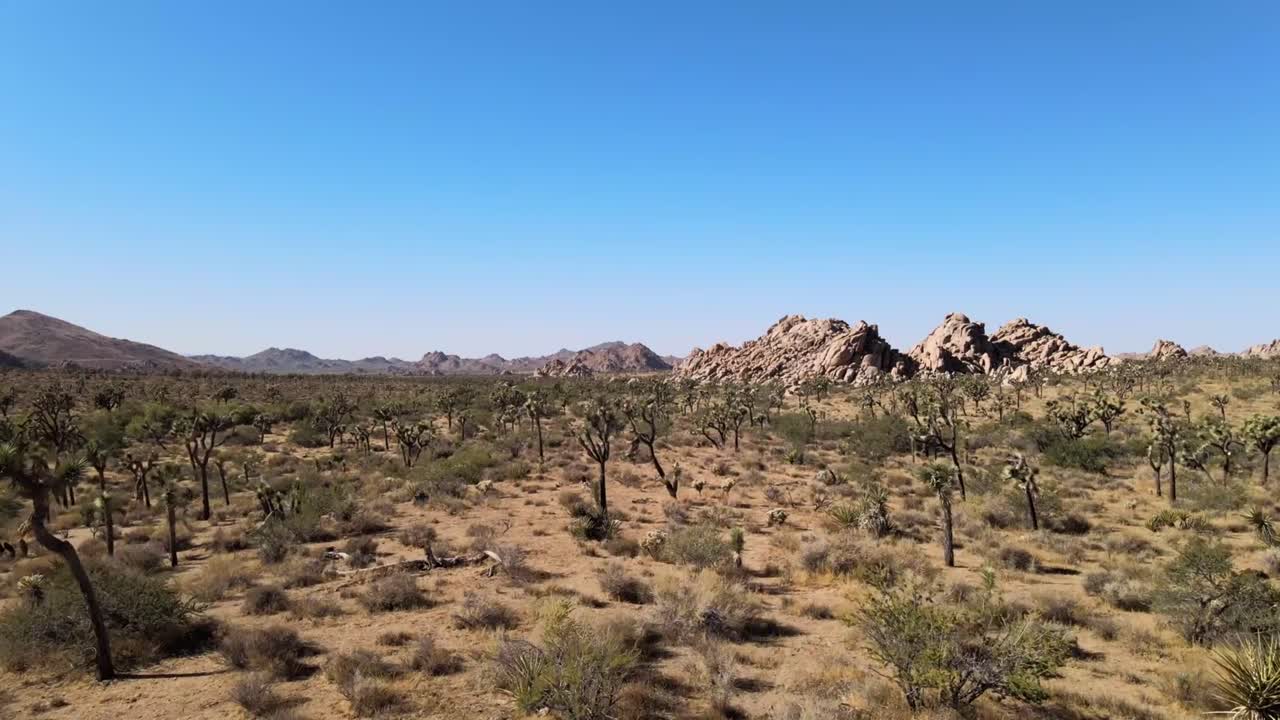 Explore vibrant desert landscape in a sunny afternoon setting