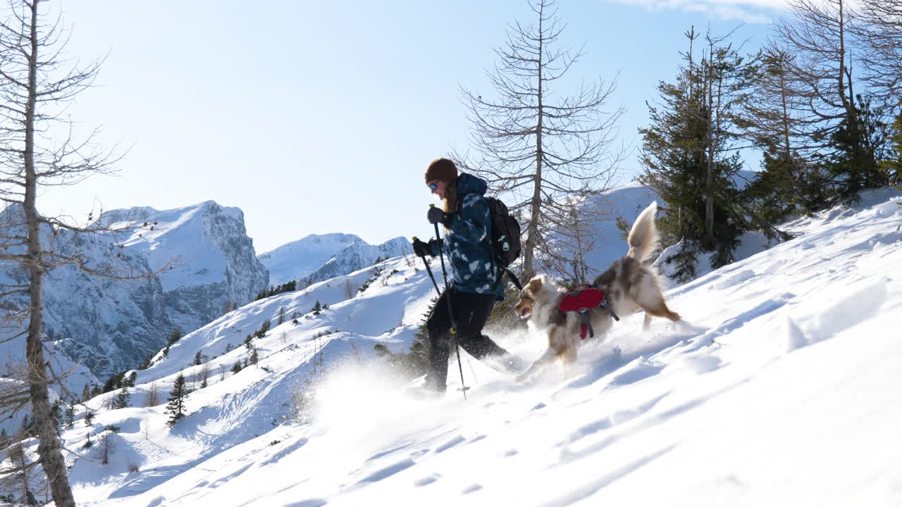 Winter Hike with Dog in Mountains