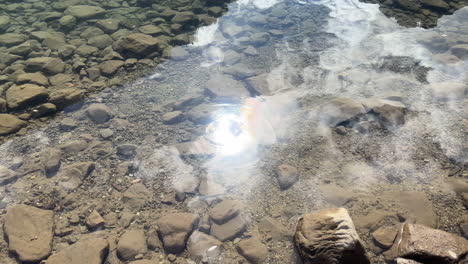 high angle static shot of reflection of sunlight on surface of clear stream