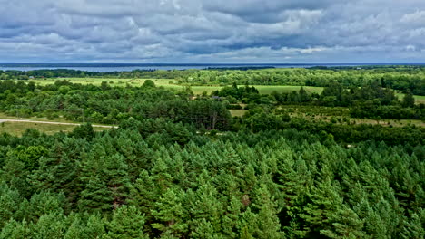 Establishing High-Level Aerial View of Forest and Meadow Next to the Sea in Estonia - Backwards Dolly Shot