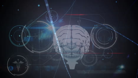 animation of networks of connections over medical data processing with digital human brain