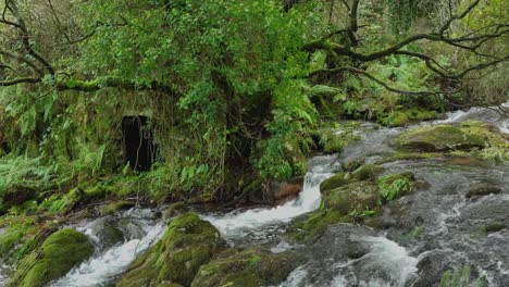 Bach-Rauscht-Auf-Moosigen-Felsen-Im-Río-Parga,-Coruña,-Spanien