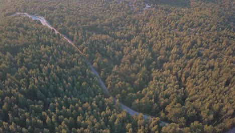 High-angle-drone-shot-over-a-forest-during-golden-hour-next-to-Athens,-Greece