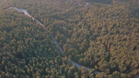 drone de alto ángulo disparó sobre un bosque durante la hora dorada al lado de atenas, grecia