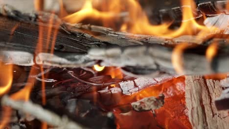 flames of fire on black background in slow motion