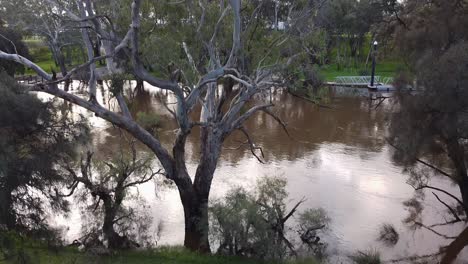 riverside vista aérea descendente río cisne perth australia