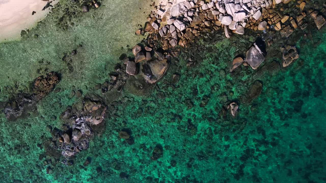 Tropikal ada koyu palmiye plajı, turkuaz berrak su