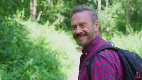 rear view of mature man wearing backpack in countryside hiking along path through forest