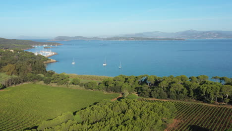 porquerolles harbor and vineyards aerial back traveling france