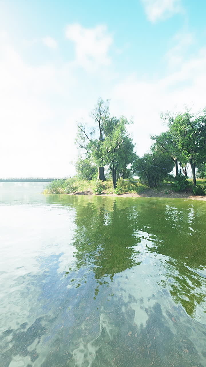 나무 와 다리 가 있는 평온 한 호수 풍경