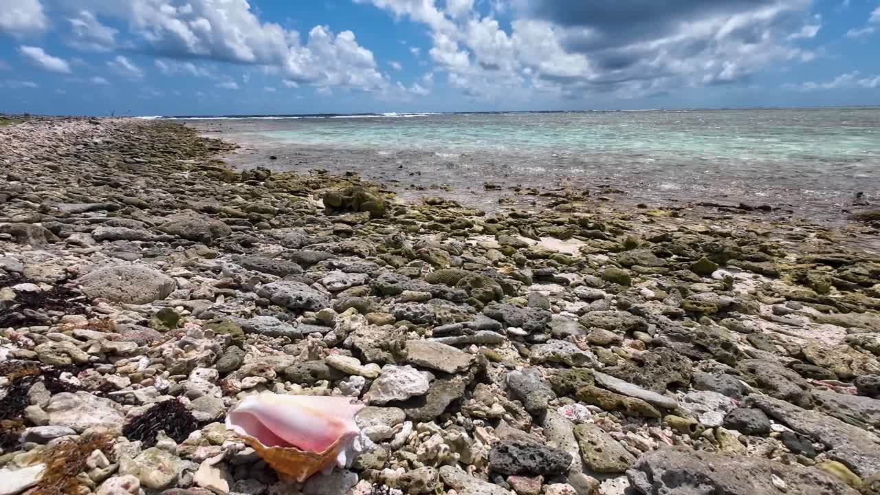 botuto concha rosa en la playa tropical con piedras, pan a la derecha, los rocas