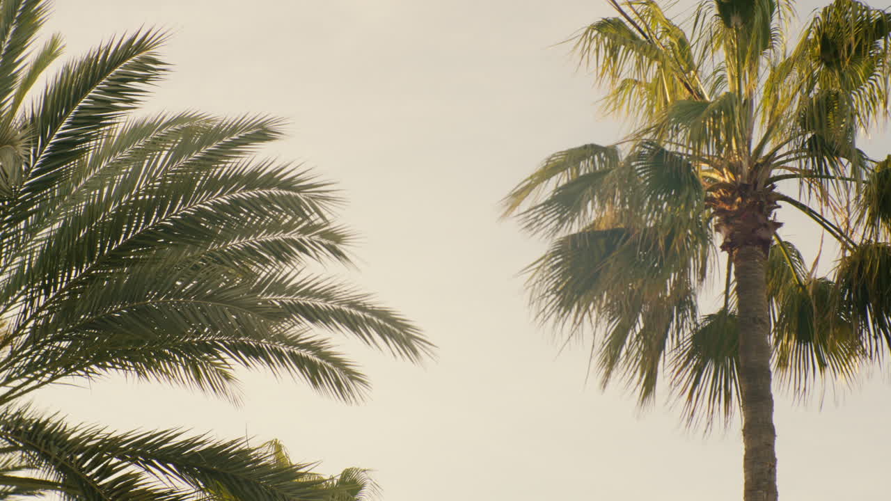 A view of the evening sky, filled with a sense of tranquility as day transitions into night