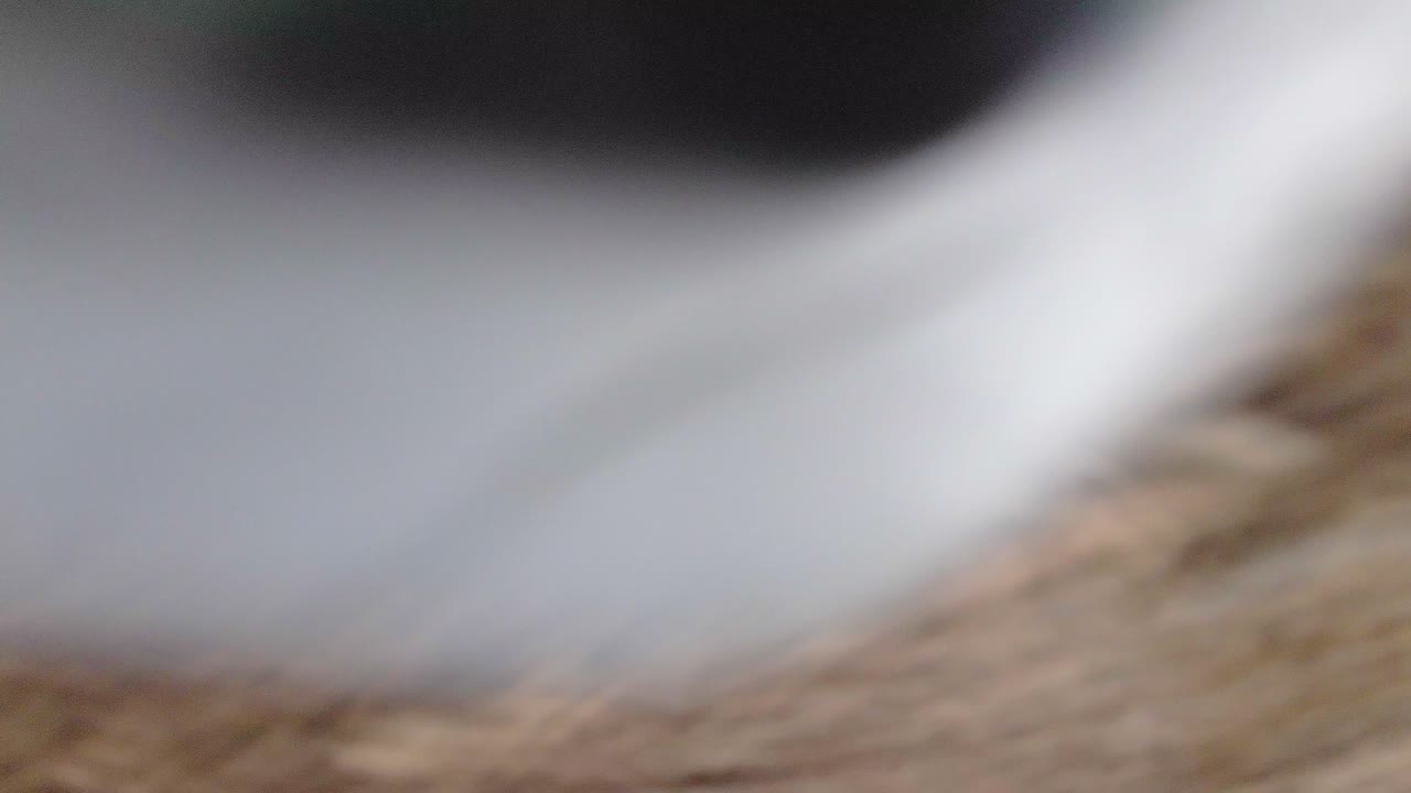 무인 항공기가 숲에서 사람을 따라 가다가 나무에 부딪힌 후 추락하고 운영자에게 픽업됩니다.