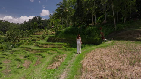 young woman gracefully traverses the vibrant tegallalang rice terrace