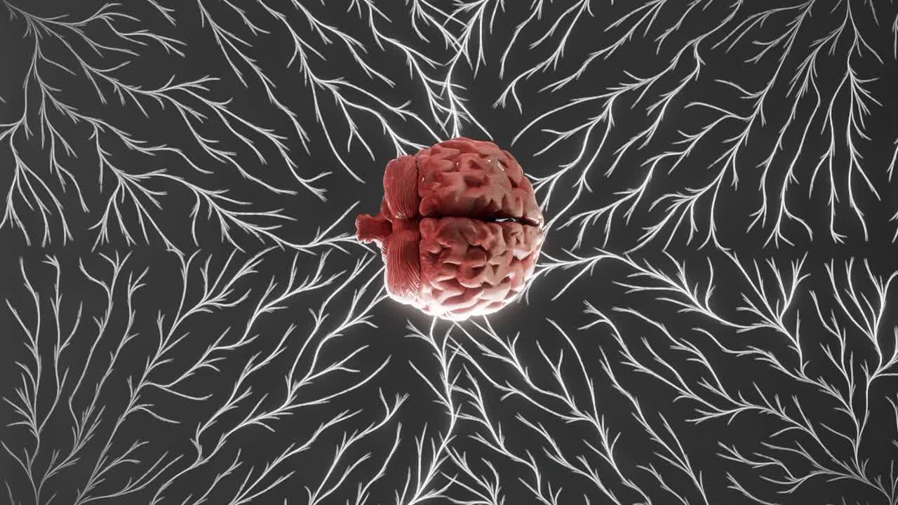 Human brain surrounded by abstract glowing white neuron branches on black background. 3D medical illustration with digital neural connections.Neuroscience and human anatomy concept.wallpaper, vertical