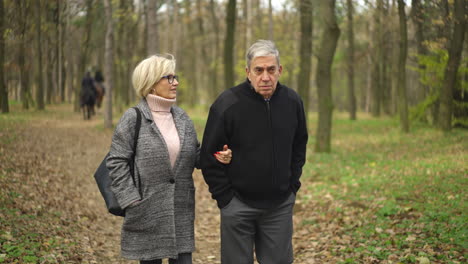 elderly couple walking in the forest