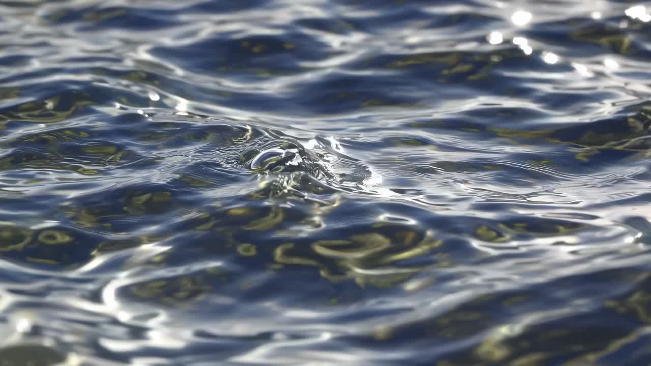 Nærbildevideo av vann som bølger forsiktig og fanger sollysrefleksjoner