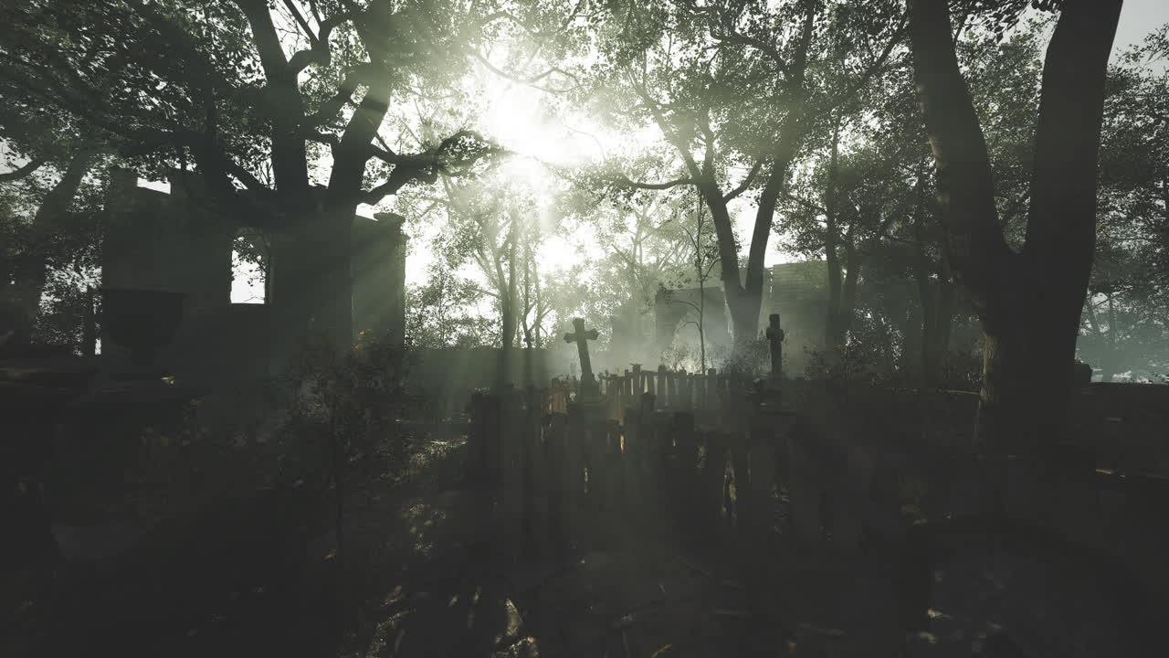 Sunlight filters through trees over a tranquil cemetery at dusk