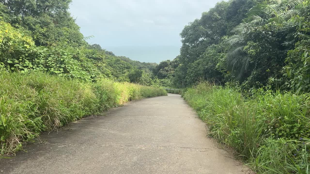 Aerial footage capturing a tranquil, lush road along Da Nang's coast. Dense greenery flanks the path with a glimpse of the sea. Natural lighting enhances the serene composition