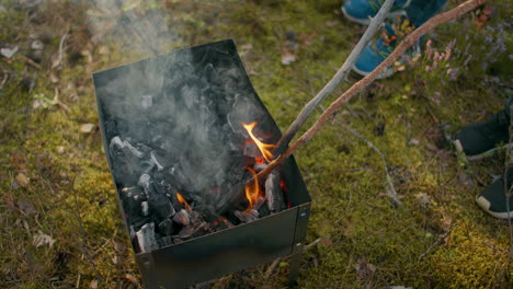 close up the plan to burn sticks on the fire and play with fire in the forest. children play with burning sticks in the woods