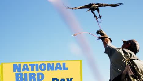 animación del día nacional de las aves sobre el hombre con pájaro de presa