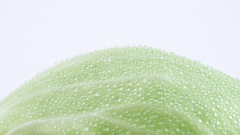 macro shooting of upper part of white cabbage leaves with water drops. slowly rotating on the turntable isolated on the white background. close-up.