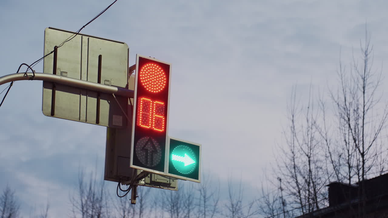 Urban traffic light displays red signal with countdown timer and illuminated green arrow against backdrop of bright sky and tall leafless trees, capturing city infrastructure during daylight