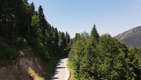 car going slowly in a road between nature