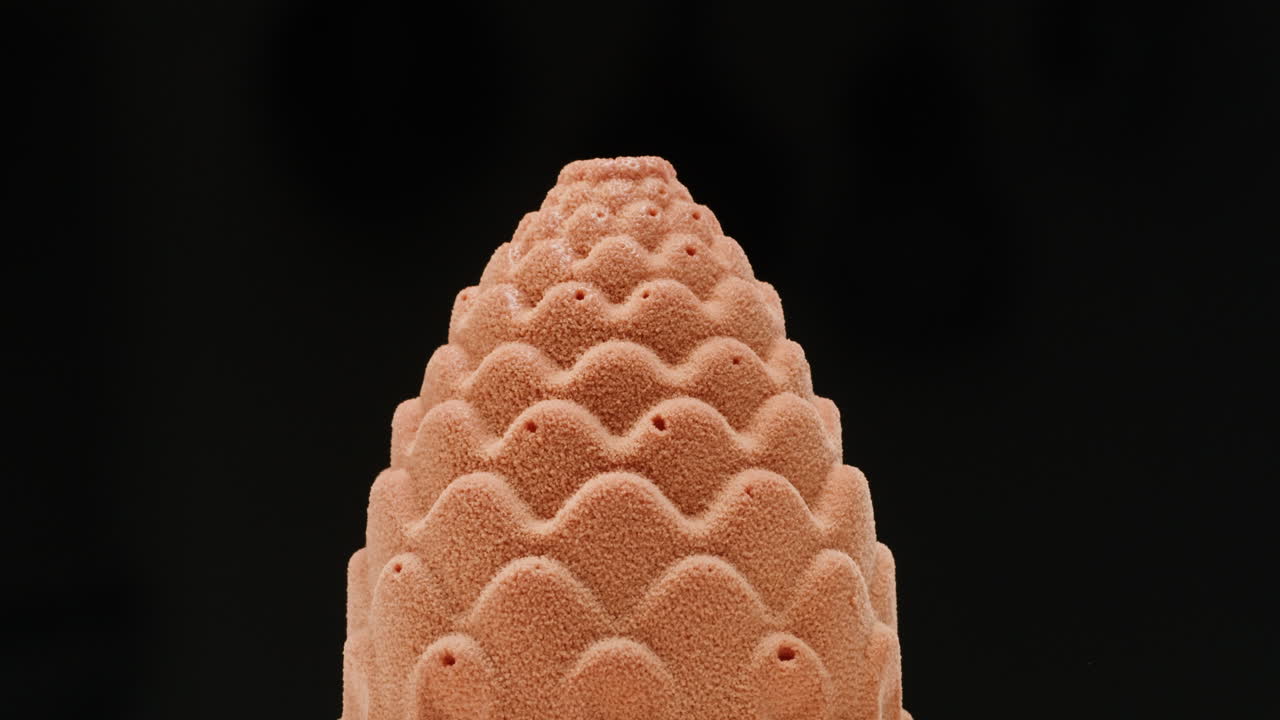 Gourmet Pine Cone Dessert