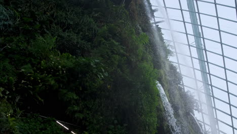 indoor waterfall in a botanical garden