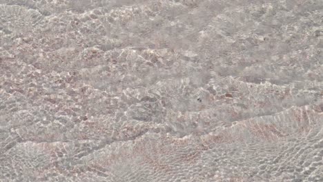 cerca de agua de mar de playa poco profunda con arena rosa en la playa de elafonissi