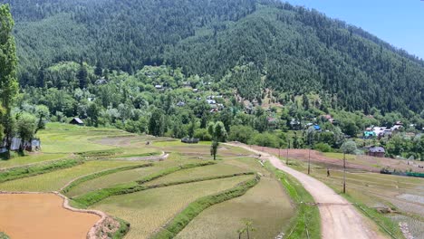 beauty of rural india and farmers land, nature beauty, hills, green fields with village life in forest area and timeless travel escapes