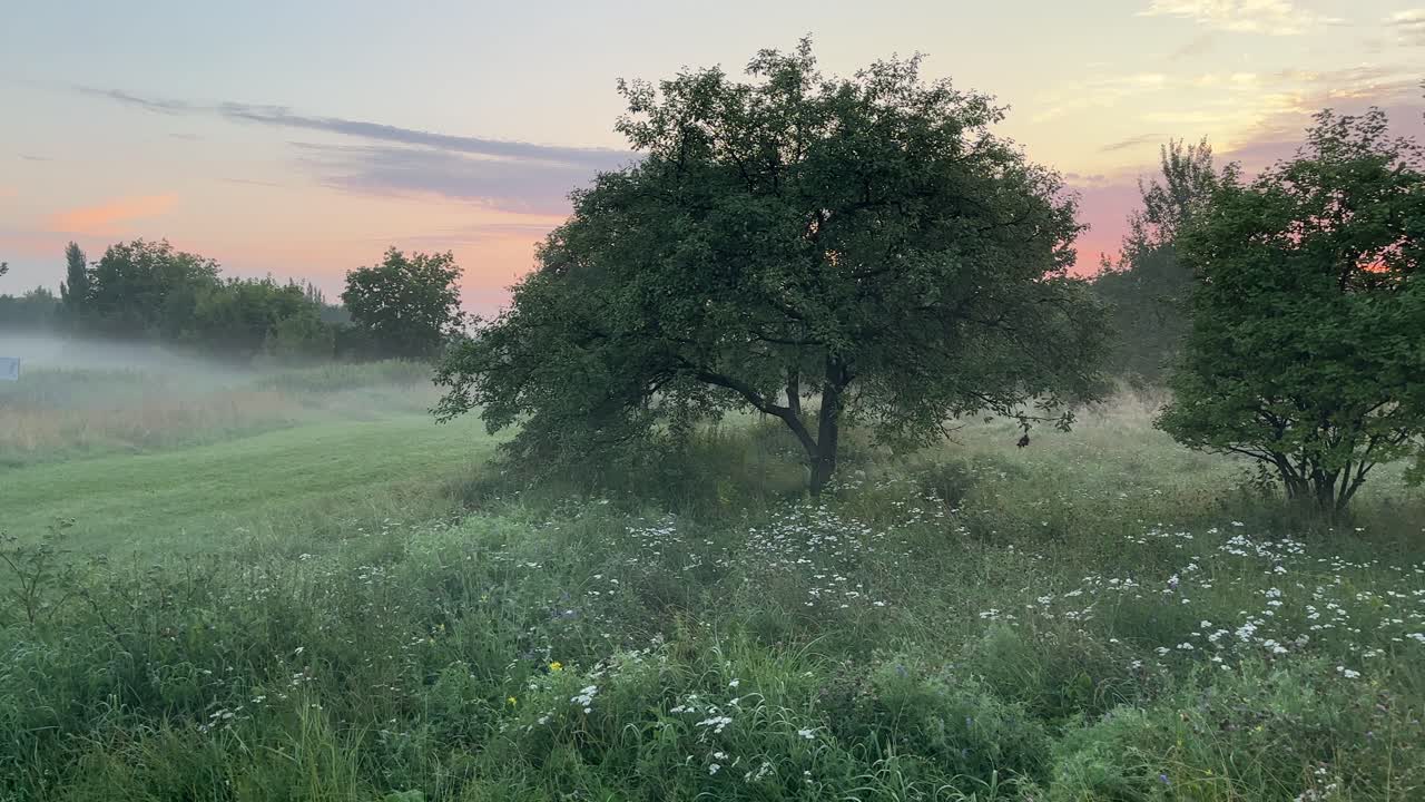 Light fog over fantastic colored landscape (4K60)