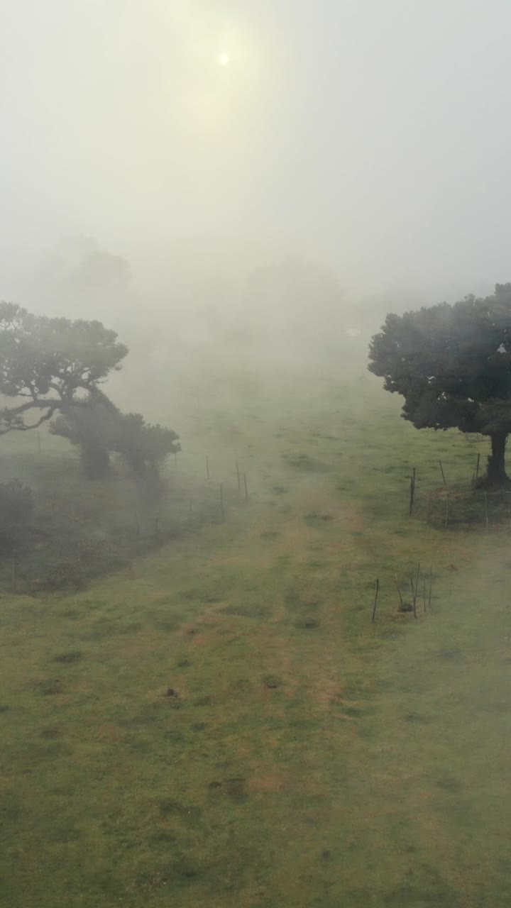 안개가 가득한 산 들판